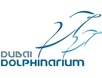 Offer from Dubai Dolphinarium